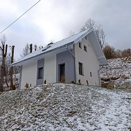 Appartamento Dalma *